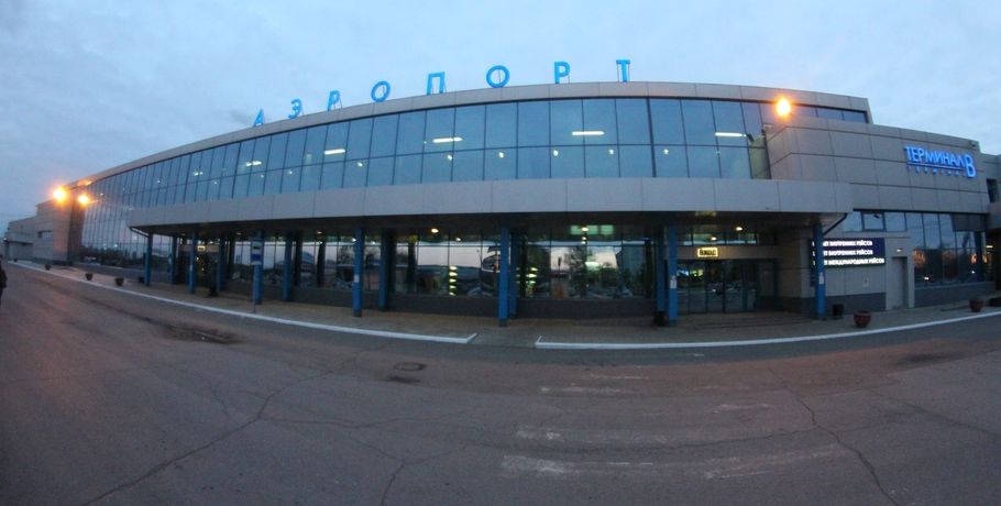В омском аэропорту задержали пассажирку с крокодилом