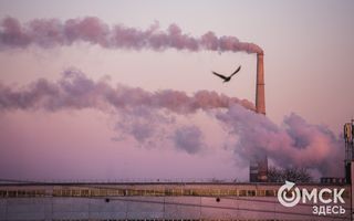 Омские предприятия за год выбросили почти 400 тысяч тонн загрязняющих веществ