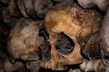 В центре Омска при ремонте теплотрассы нашли человеческие кости