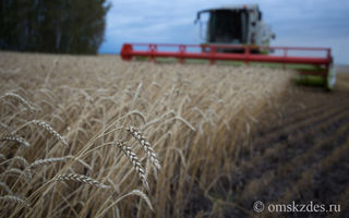 Из-за подорожания топлива аграриям Омской области выплатят компенсацию