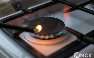 Жители Омской области задолжали за газ 120 миллионов рублей