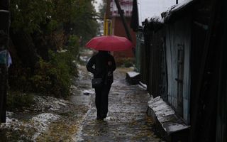 Уборочная кампания в Омской области может сорваться из-за проливных дождей