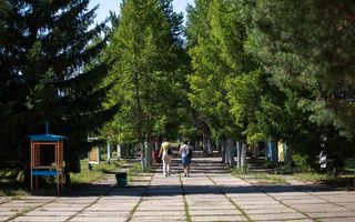 1 сентября омские школьники бесплатно прогуляются по дендросаду и сходят в зоопарк