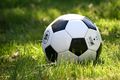 Альберт Риера собирается открыть в Омске футбольную академию