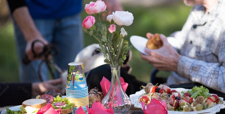 Яркое солнце и волшебные собаки: как прошёл первый пикник в омском хосписе