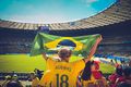 В Бразилии 74 % жителей увлечены футболом