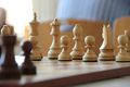 Омский гроссмейстер успешно стартовал на престижном шахматном турнире