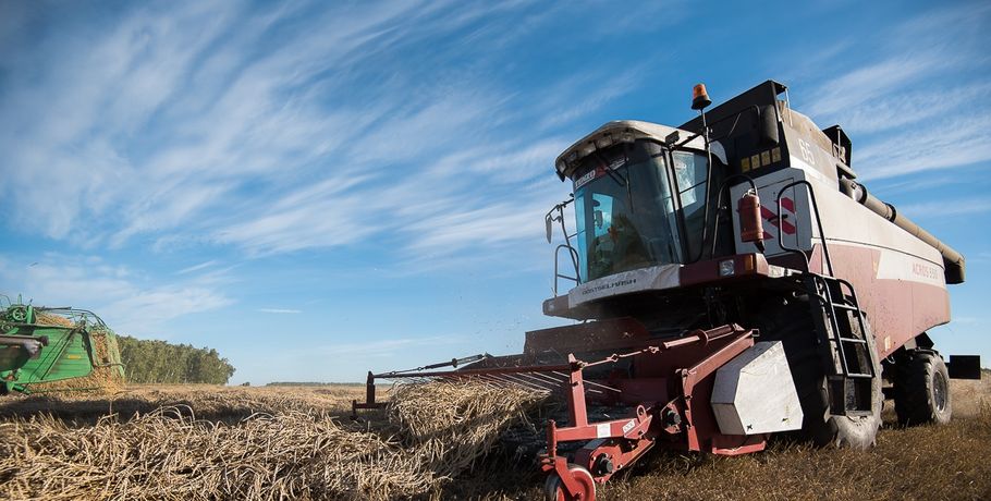 Минсельхоз России готов ввести дополнительные пошлины на вывоз зерна
