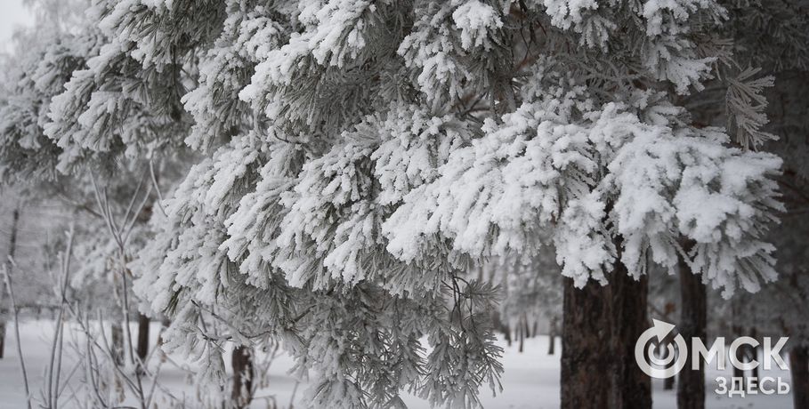К Омской области подбираются 30-градусные морозы