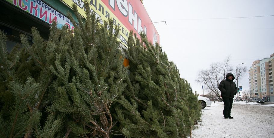 Омская ёлка вошла в рейтинг самых страшных новогодних деревьев в стране