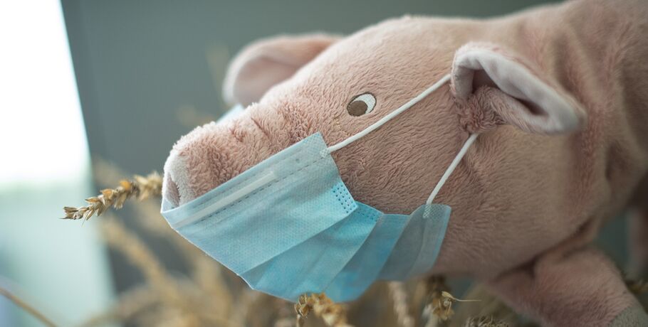 В Омской области зафиксировали случай заболевания свиным гриппом
