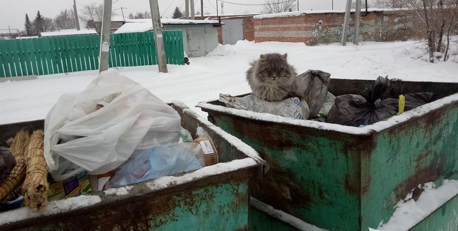 Региональный оператор озвучил тариф на вывоз мусора из Омска
