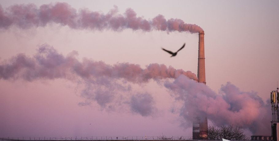Минприроды: в год выбросов этилмеркаптана воздух Омской области стал чище