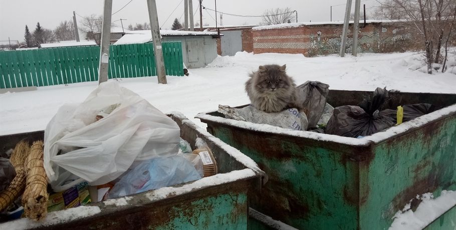 Омичам предлагают платить 715 рублей за вывоз кубометра мусора