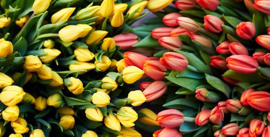 Публикация «Мастер-класс „Тюльпаны в конверте“ к празднику 8 Марта» размещена в разделах