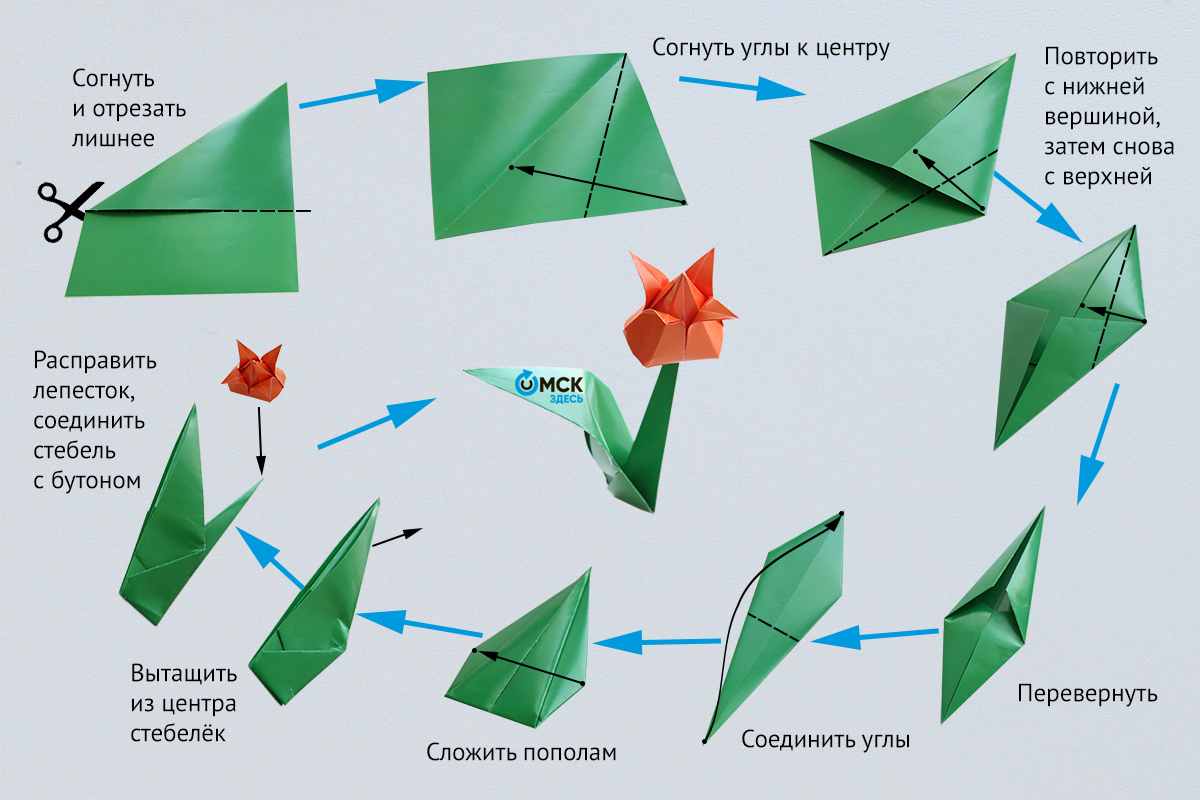 15 способов нарисовать красивые тюльпаны