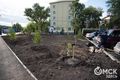 На центральных улицах Омска высадят 800 деревьев
