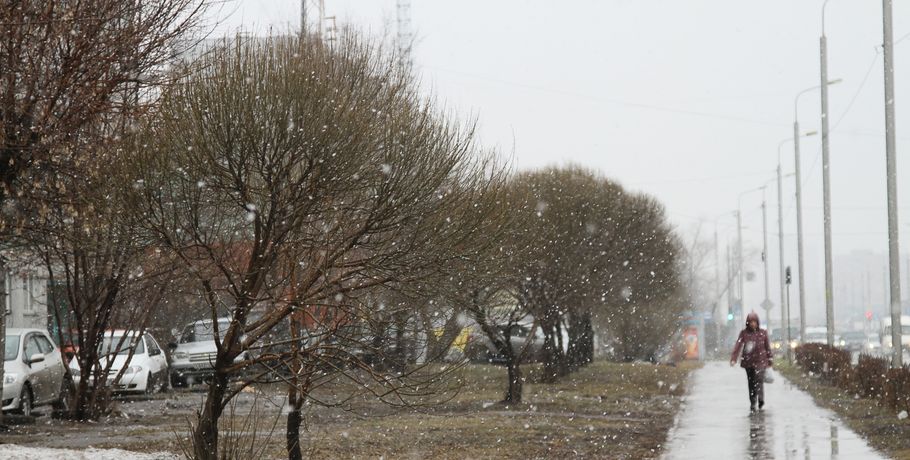 Шёл 138 день зимы. Обзор соцсетей заснеженного Омска