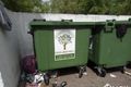 Мэр Омска: "Поджог мусорных баков - это протест людей"