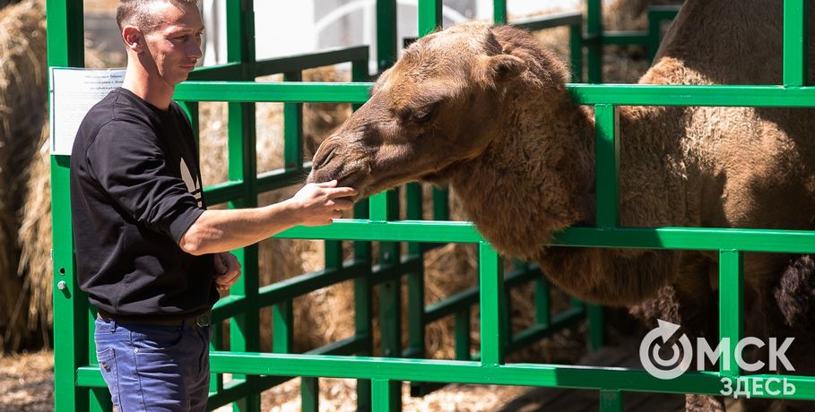 Животных в зоопарках оградят от назойливого внимания посетителей