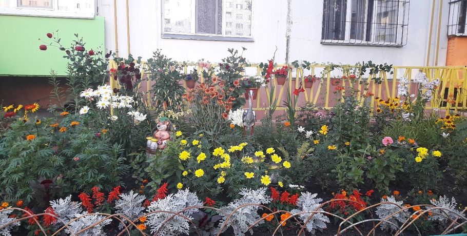 Пенсионерка устроила во дворе омской многоэтажки чудесный сад