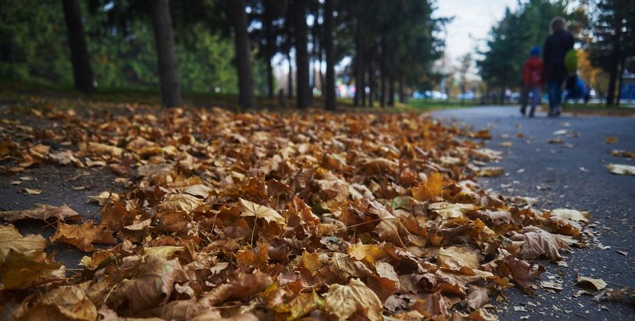 Тёплый октябрь в Омске побил столетний рекорд