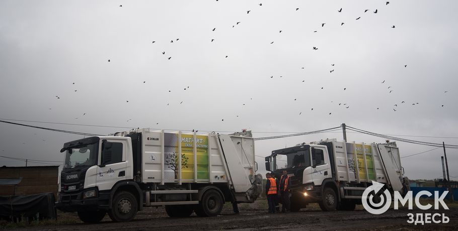 Омские предприниматели заплатят большие штрафы за отказ вывозить мусор