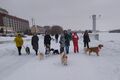Собаки в шарфах прошли по Омской набережной в поддержку особенных детей