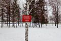 В омском парке погибла женщина, катаясь на тюбинге