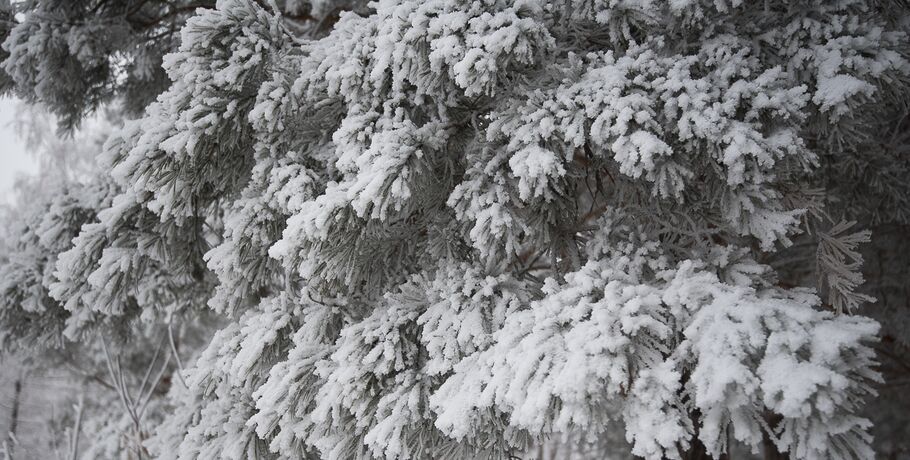 30-градусные морозы продержатся в Омской области до выходных