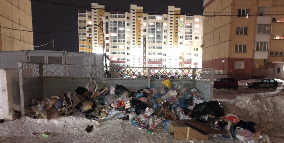 В Омске в микрорайоне Космический пропали все мусорные баки