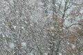 В Омскую область вместе с потеплением придут мокрый снег и штормовой ветер