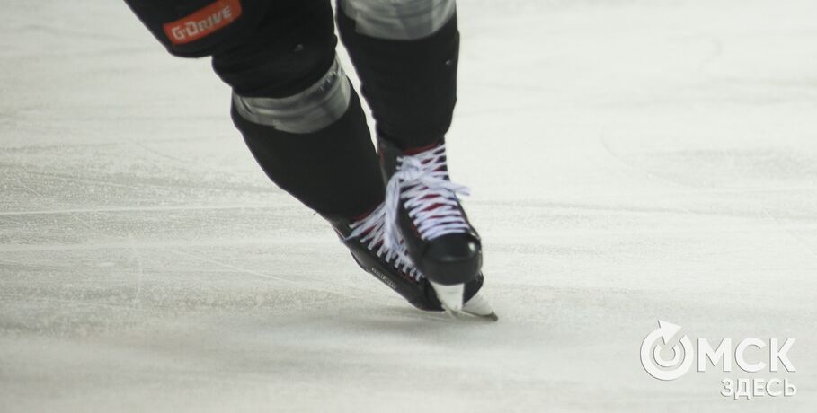 Омские хоккеисты примут участие в кубке НХЛ