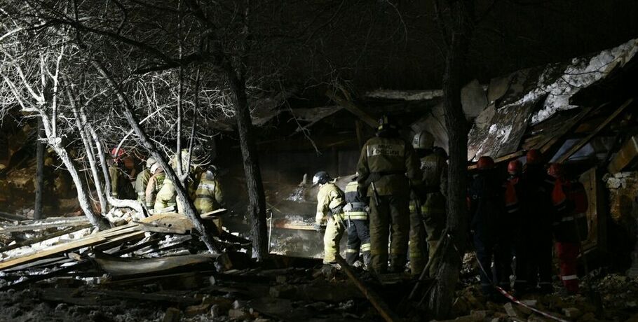 Причину обрушения здания в центре Омска назвали в МЧС