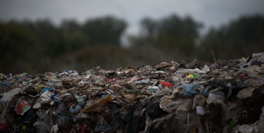 В Омске 80 % мусора никогда не будет переработано