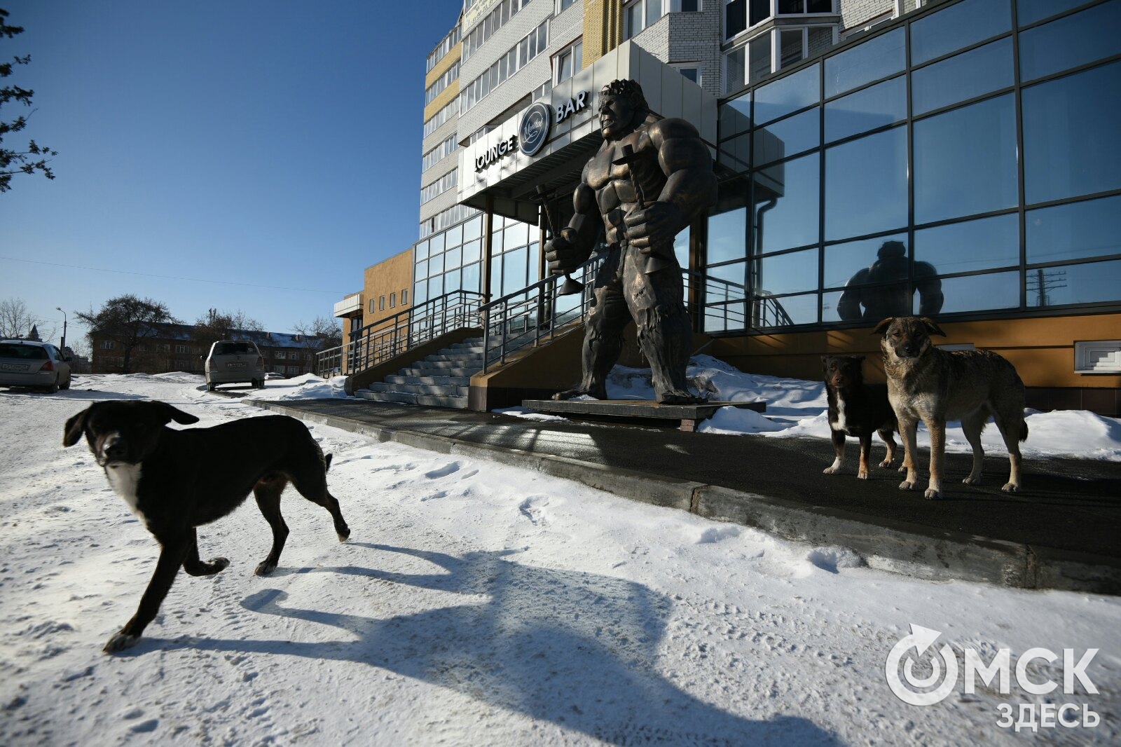 Зелёный Халк переехал с Левого берега в центр Омска | 05.03.2020 | Омск -  БезФормата