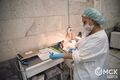 Омским врачам доплатят за раннее выявление онкологических заболеваний