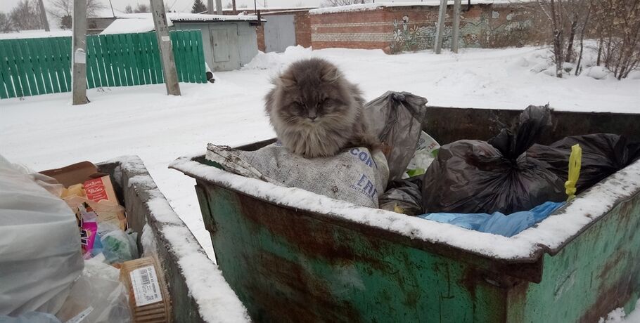 Омский суд отменил мусорный тариф для жителей частного сектора. Обновлено