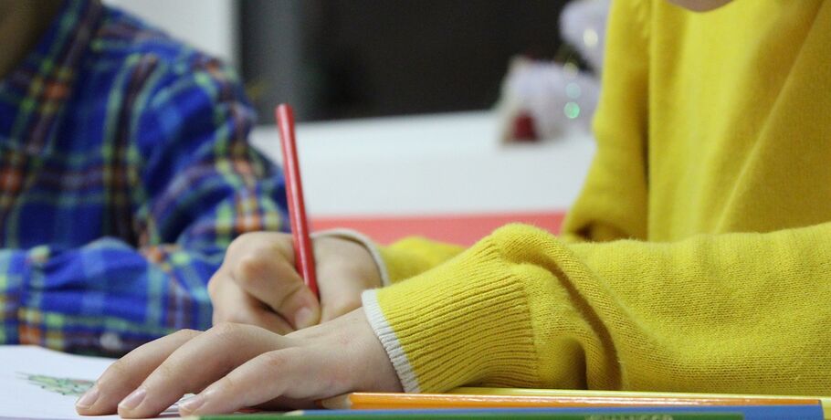 Омские школы переходят на дистанционное обучение