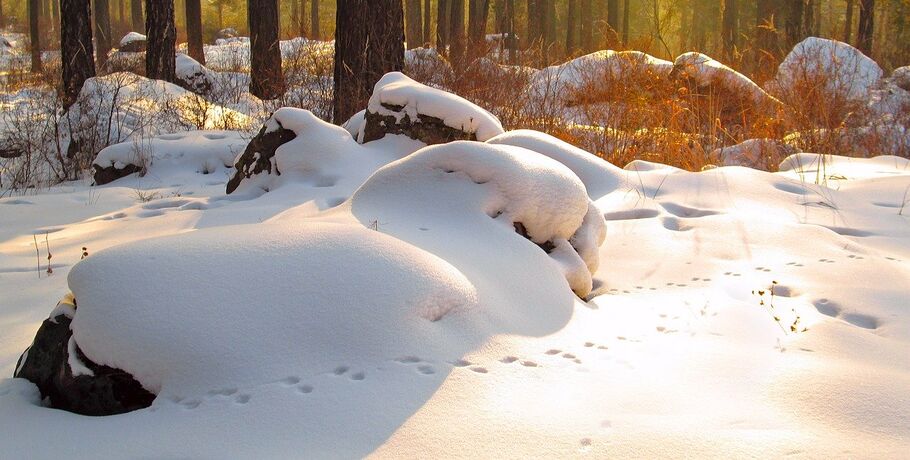 Синоптики прогнозируют похолодание в Омской области до -21 градуса