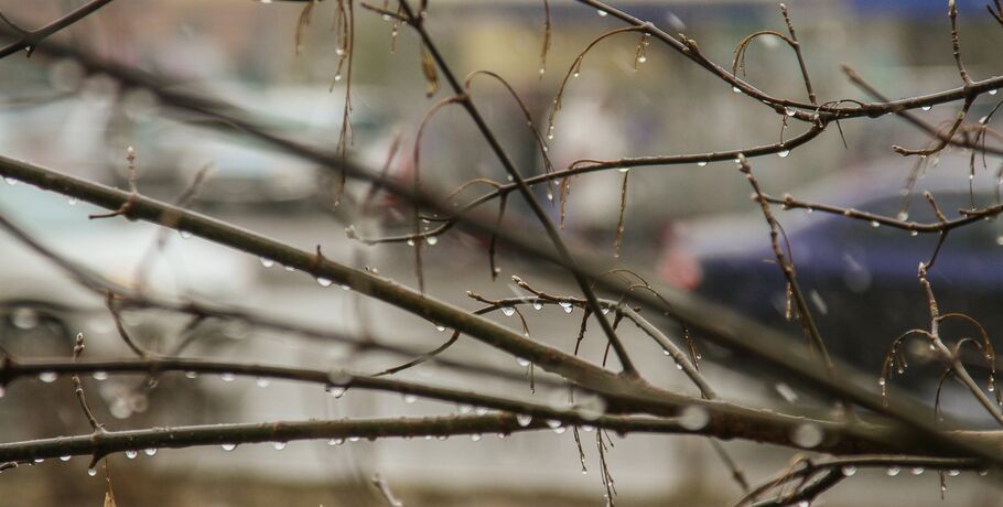 Мокрый снег выпадет в Омской области посреди тёплого апреля