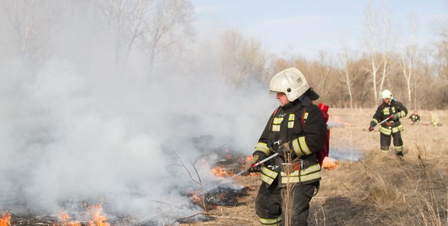 В Омске пожарные четыре часа тушили остров на Иртыше