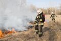 В Омске пожарные четыре часа тушили остров на Иртыше