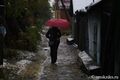 Омские синоптики прогнозируют сильный дождь
