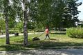 В Омске проводят уборку парков и обработку кладбищ от клещей