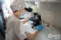 В Омской области стало возрастать число заражённых COVID-19