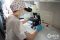 В праздничный день в Омской области выявили 85 случаев заражения COVID-19