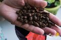 Страна, ферма, способ приготовления – третья волна кофейной революции