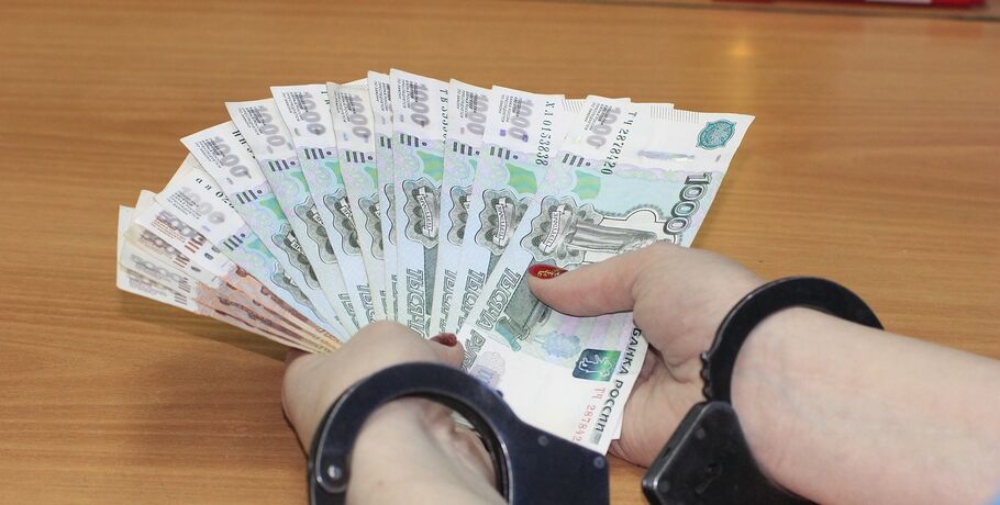 В Омске задержали мошенницу, укравшую 160 млн рублей