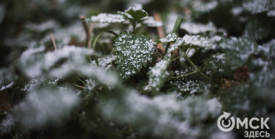 Снег и метели задержатся в Омской области